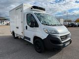 Fiat Ducato Kühlfahrzeug 3,5 T | -20° | Bj. 2017 - Kühlfahrzeug gebraucht