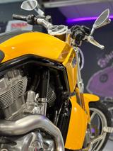 Harley-Davidson V-Rod VRSCF Muscle - HARLEY-DAVIDSON VR