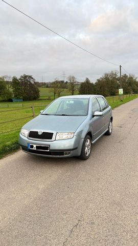 Skoda Fabia Automatik Winterauto