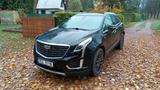 Cadillac XT5 3.6 V6 AWD Platinum - Cadillac XT5 Gebrauchtwagen