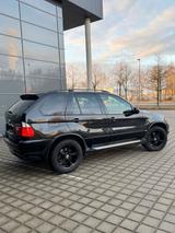 BMW E53 X5 3.0D Sportpaket ~Saphirschwarz~... - BMW X5 E53 mit Diesel-Antrieb