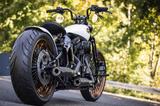 Harley-Davidson Springer Umbau Bobber Softail Custom  - Offers