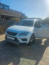 Andere Weiss Cubra Ateca  mit Garantie bis Mai 2027 - Andere in Bonn