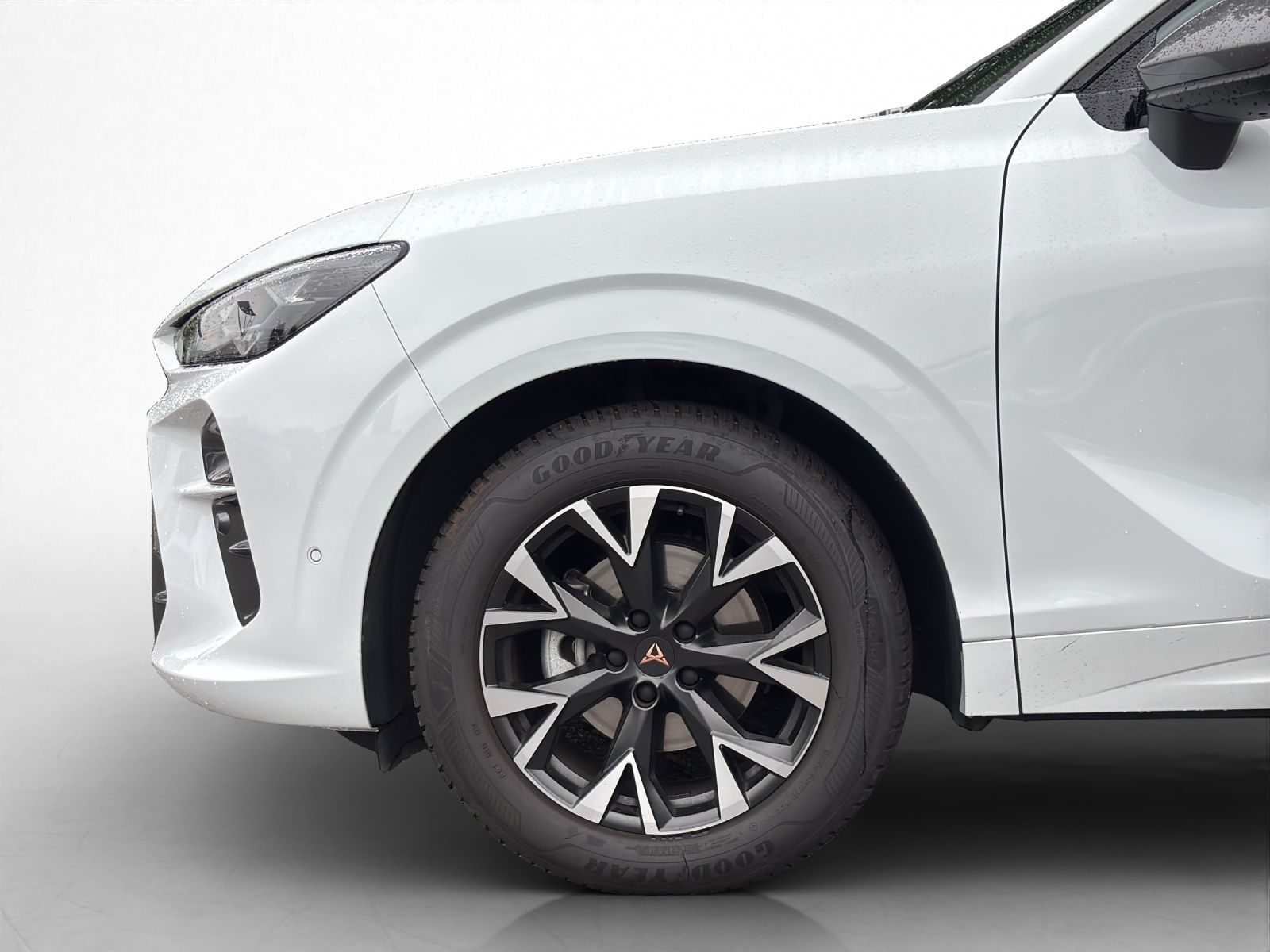 Cupra Terramar - Bild 14