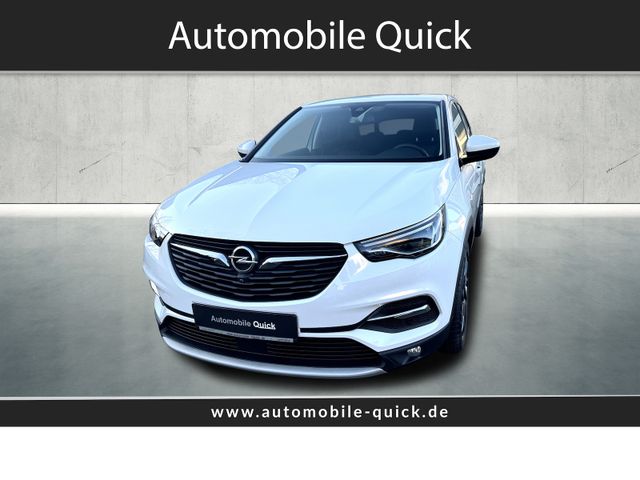 Opel Grandland X 1.2 Dynamic/Navi/Kamera/Allwetter