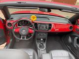 Volkswagen Beetle 1.2 TSI Cabriolet - - Volkswagen Beetle: Rot