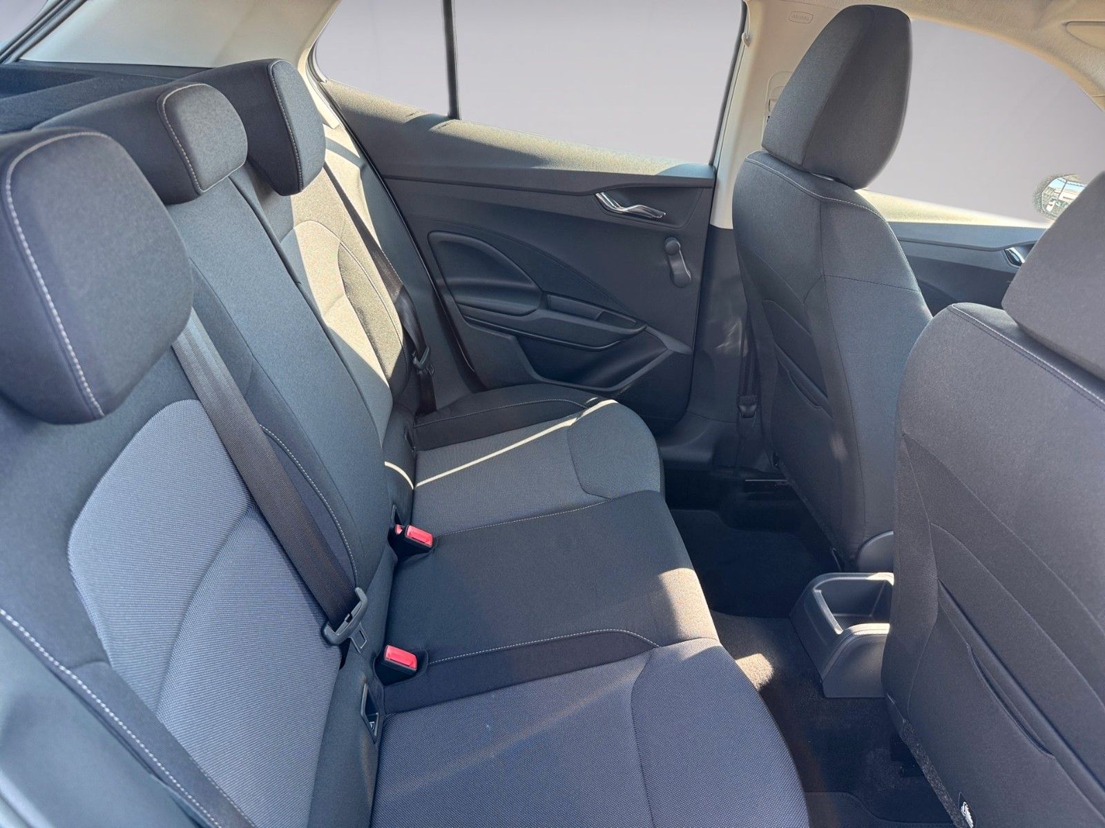 Fahrzeugabbildung SKODA Fabia Selection 1.0TSI