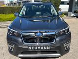 Subaru Forester Platinum - Subaru Forester Platinum mit Benzin-Antrieb