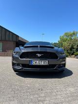 Ford Mustang 5.0 Ti-VCT V8 GT Auto GT - Ford Gebrauchtwagen in Tübingen