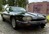 Jaguar XJS 4.0 Cabrio Sammlerzustand - Jaguar XJS: 4.0
