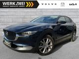 Mazda CX-30 G150 Selection AT LEDER BOSE ACC HUD 360° - blaue Mazda CX-30