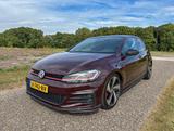 Volkswagen Golf 7.5 GTI performance / dynaudio / rubinblack - Volkswagen Golf Plus: Rot