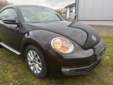 Volkswagen Beetle Design 1.2TSI - gebrauchte VW Beetle aus dem Jahr 2012