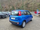 Fiat Panda 1.0 Pandina Icon Klima PDC Bluetooth Temp. - Fiat Panda: Pandina