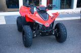 CFMOTO CF Moto CForce 110 / Kinder Quad / Rot u. Blau - CFMOTO CFORCE 110