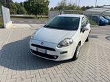 Fiat FIAT Punto Punto 1.3 MJT II 75 CV 5 porte Street - Fiat Punto mit Diesel-Antrieb: Street