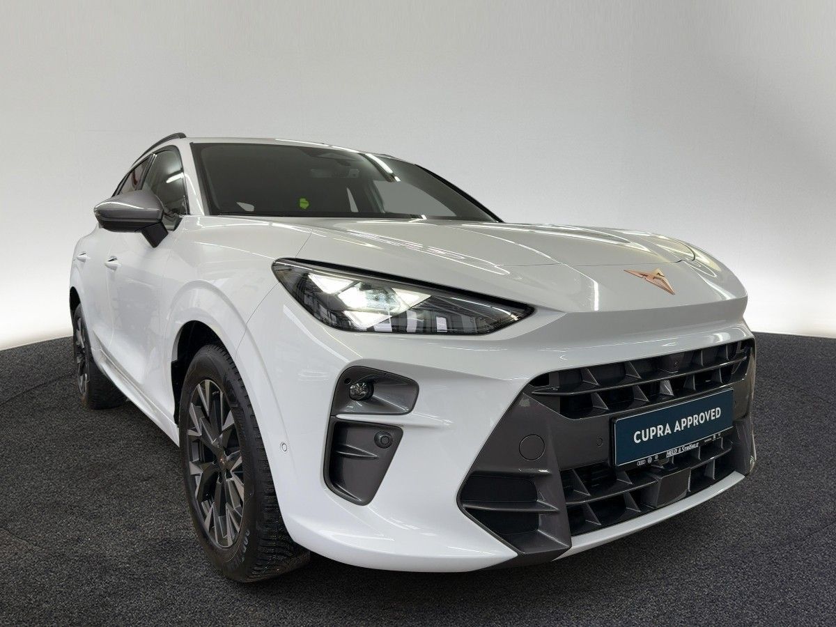 Cupra Terramar - Bild 5