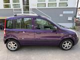 Fiat Panda 1.2 8V Dynamic Klima Sondermodel TÜV NEU - Fiat Panda Gebrauchtwagen in München