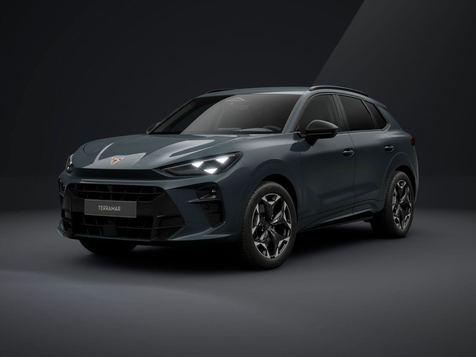 Cupra Terramar 2.0 TSI 195kW VZ DSG 4Drive