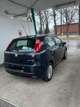 Fiat Punto 199  Baujahr 2009  1.4 Benzin - Fiat Punto: 199