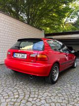 Honda Civic - Honda Civic Gebrauchtwagen in Ludwigshafen