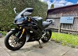 Yamaha YZF R  125. Motorschaden - Angebote