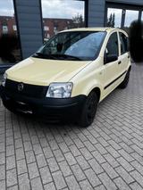 Fiat Panda - Fiat Panda Gebrauchtwagen in Hannover