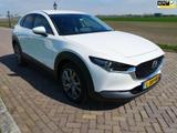 Mazda CX-30 2.0 e-SkyActiv-X M Hybrid 132kW 6-GEAR LEA - Mazda CX-30 mit Hybrid-Antrieb