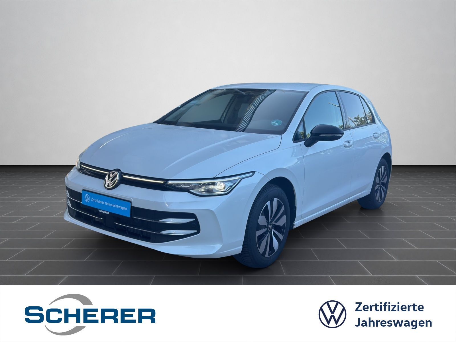 Volkswagen Golf VIII GOAL 1.5 eTSI DSG LED PLUS NAVI AHK RE