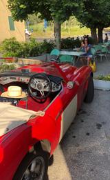 Austin Healey Rennwagen  Strassenzulassung FIA - Austin Healey Gebrauchtwagen von 1960