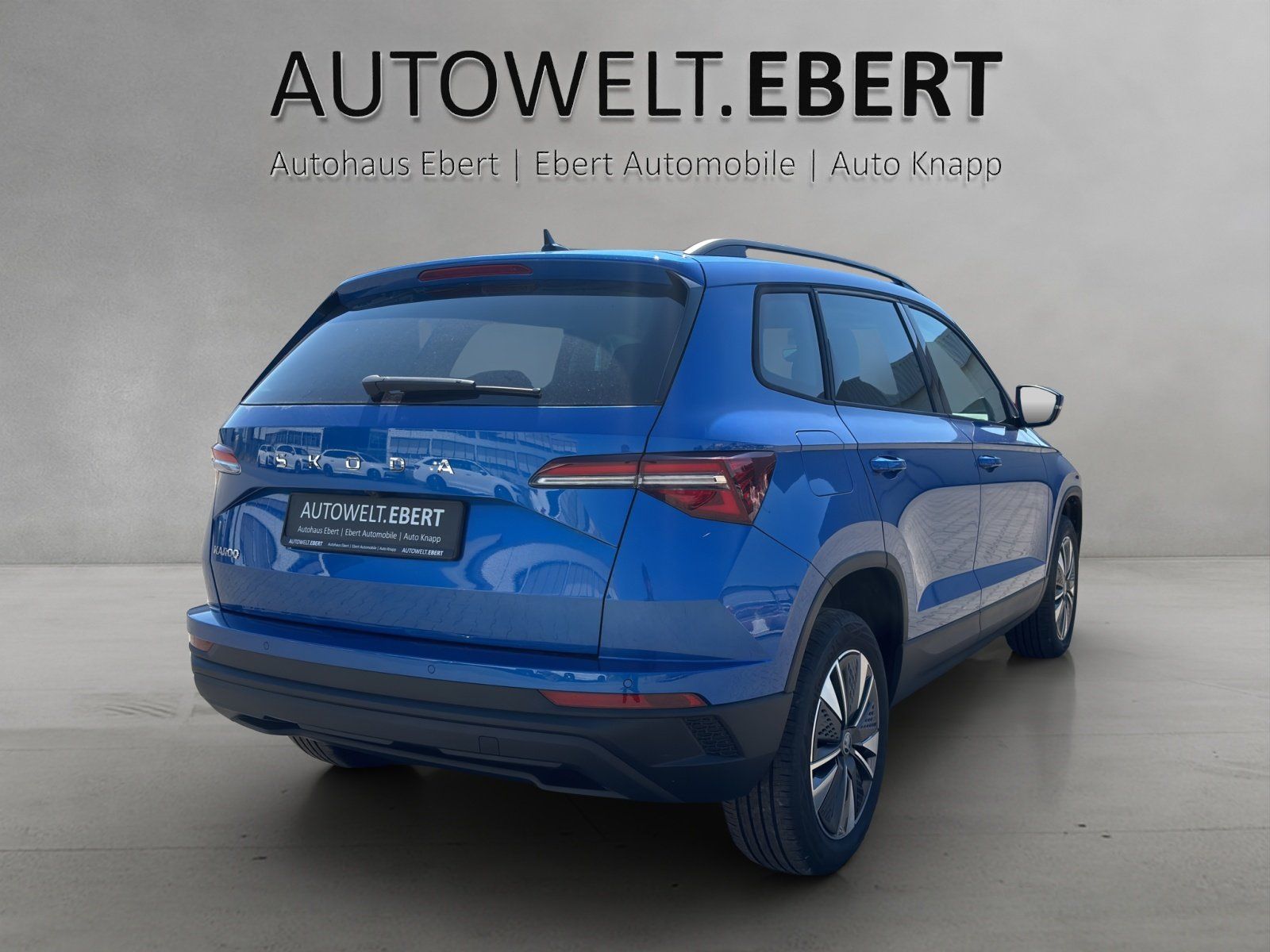 Fahrzeugabbildung SKODA Karoq Balance 1,5 TSI 110 kW DSG MATRIX/RFK/AHK
