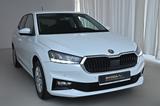 Skoda Fabia 1.0 TSI Selection*GJR*SHZ*PDC*LED* - Skoda Gebrauchtwagen in Berlin
