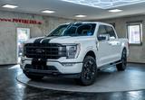 Ford F 150 Platinum 3,5l LPG,Abdeckung - Ford F 150 mit LPG-Antrieb