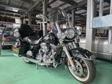 Harley-Davidson Road King nur 14.500 km  Top Zustand  Touring  - CHOPPER 50
