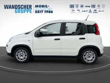 Fiat Panda Base Mild Hybrid 1,0 Klima+ZV+Radio