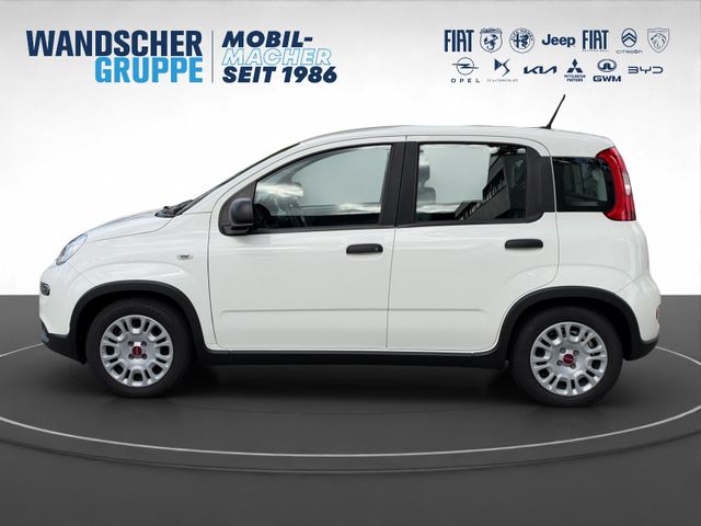Fiat Panda Base Mild Hybrid 1,0 Klima+ZV+Radio