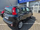 Fiat Panda/ PDC/KLIMA - Fiat Panda: Schwarz