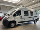 Fiat Weinsberg Carabus 600K *Markise+Fahrrad-Träger* - Fiat Diesel Wohnmobil oder -wagen Kastenwagen