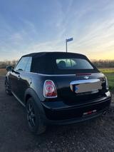 MINI Cooper Cabrio  - MINI Cooper Cabrio: Kleinwagen