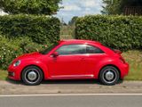 Volkswagen Beetle 1.2 TSI DSG Business Design Klima - Volkswagen Beetle: Rot