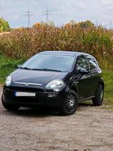 Fiat Punto 1.2 60 PS Klima TÜV Winterauto ... - Fiat Punto: 60