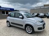 Fiat Panda Lounge Zahnriemen erneuert Klima TÜV: NEU - Fiat Panda aus 2014
