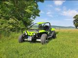 Andere pgo bugracer 500i - : Bug