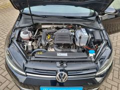 Fahrzeugabbildung Volkswagen Golf VII 1.0 TSI Join ACC APP NAVI