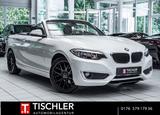 BMW 218 Cabrio SitzHz*PDC*Tempomat*Bluetooth*Breyton - BMW 218 Gebrauchtwagen