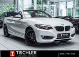 BMW 218 Cabrio SitzHz*PDC*Tempomat*Bluetooth*Breyton - BMW 218 mit Benzin-Antrieb
