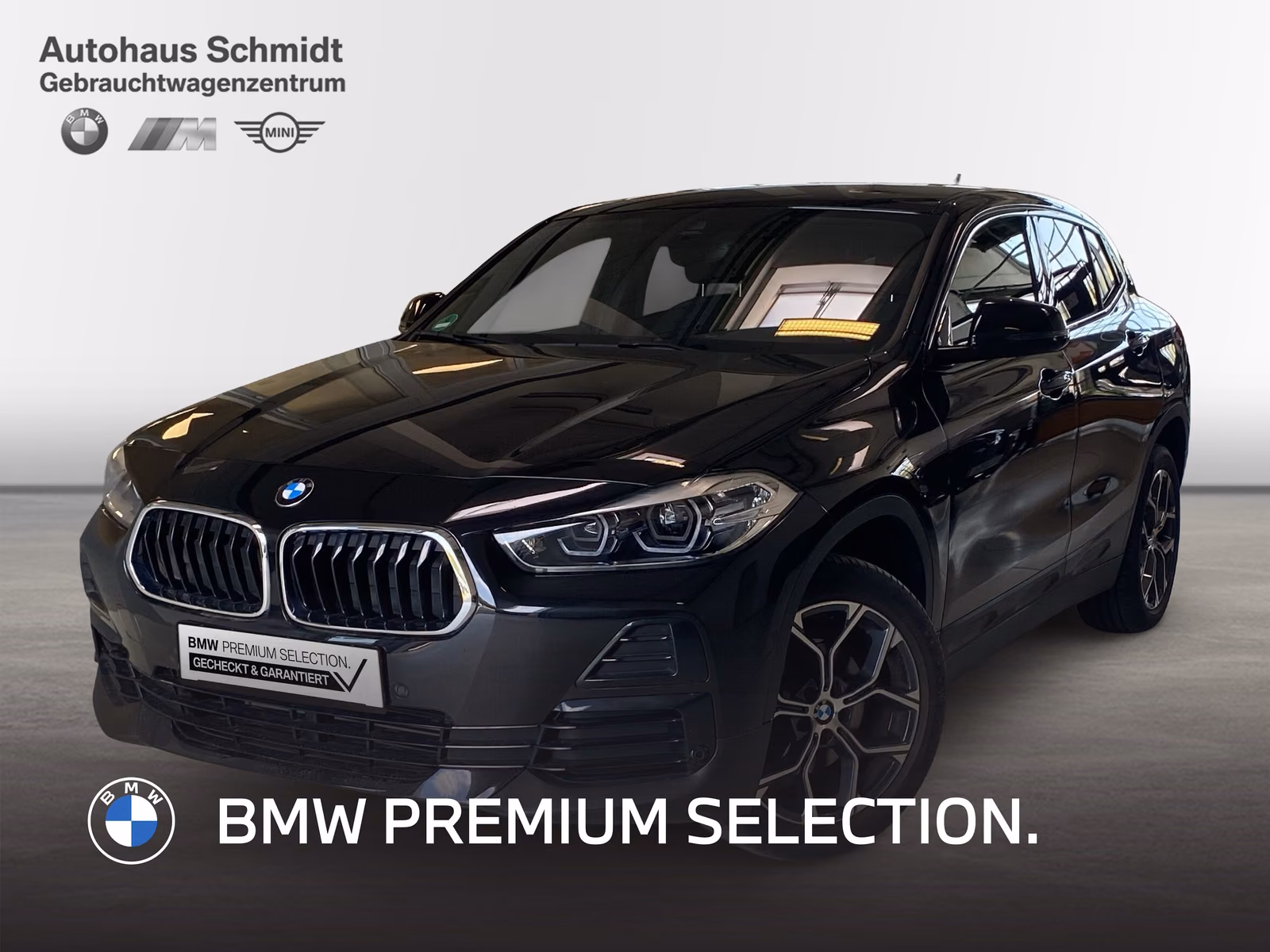 BMW X2 sDrive18i *18"*Mod. Advantage+*Navi*DAB*AHK*L