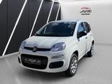 Fiat New Panda Easy Erdgas Klima 1 Hand - weiße Fiat New Panda