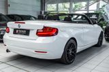 BMW 218 Cabrio SitzHz*PDC*Tempomat*Bluetooth*Breyton - BMW 218 mit Benzin-Antrieb