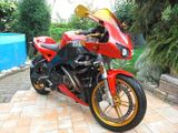 Buell XB12R - Angebote entsprechen deinen Suchkriterien